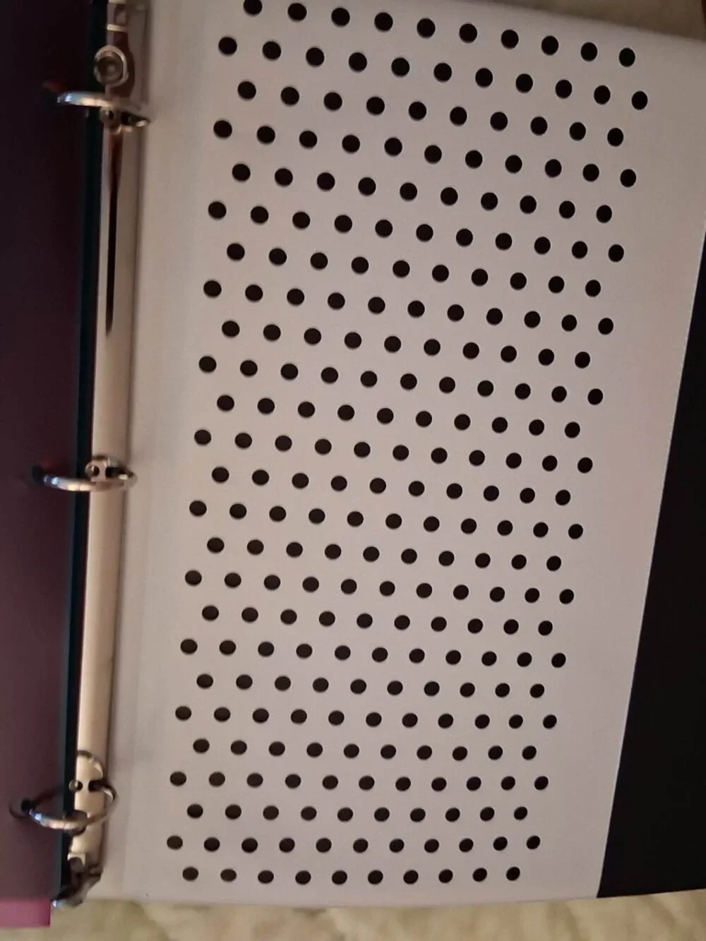 Trapper Keeper w/folders and notebook